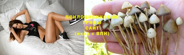 спайс Абинск