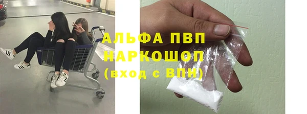 ПСИЛОЦИБИНОВЫЕ ГРИБЫ Нея