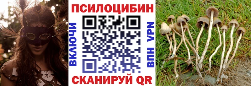 Галлюциногенные грибы Psilocybe  Саянск 